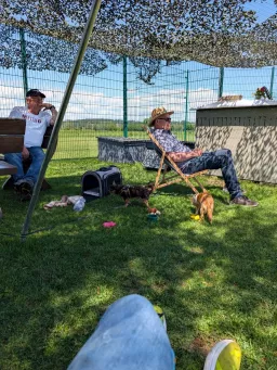 Zwei Zuschauer sitzen im Schatten des Unterstands, davor spielen zwei kleine Hunde