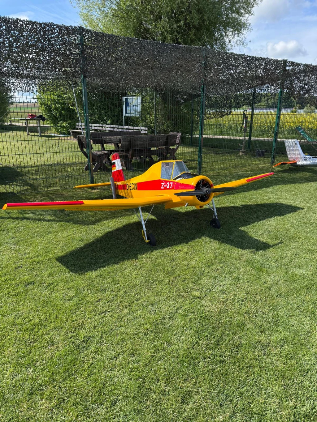Gelb-rotes Motormodell mit Sternmotor und Kennung D-ECIN steht unter dem Tarnnetz
