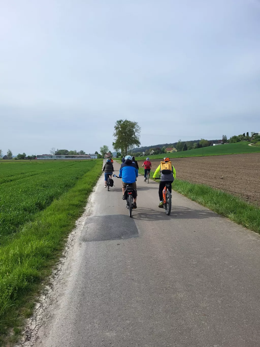 Fünf Radfahrer von hinten auf einem Radweg zwischen Feldern und Wiesen, bewölkter Himmel