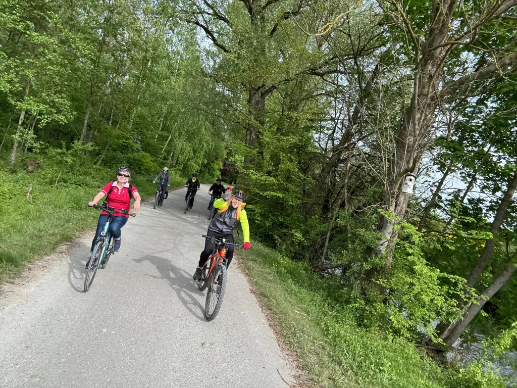 Fünf Radfahrer in bunter Kleidung fahren auf einem asphaltierten Waldweg, umgeben von üppig grünem Baumbestand