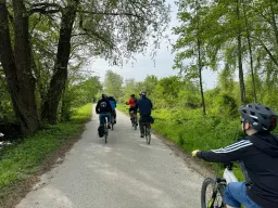Mehrere Radfahrer von hinten auf einem Waldweg, umgeben von Bäumen und Grünflächen im Frühling