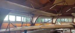 Blick in einen Museumsraum mit historischen Segelflugzeugen, Holzbalken und Panoramafenstern mit Baumblick