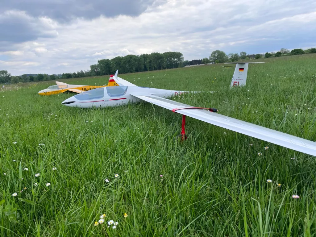Weiße und gelbe Segelflugmodelle auf blühender grüner Wiese, bewölkter Himmel im Hintergrund