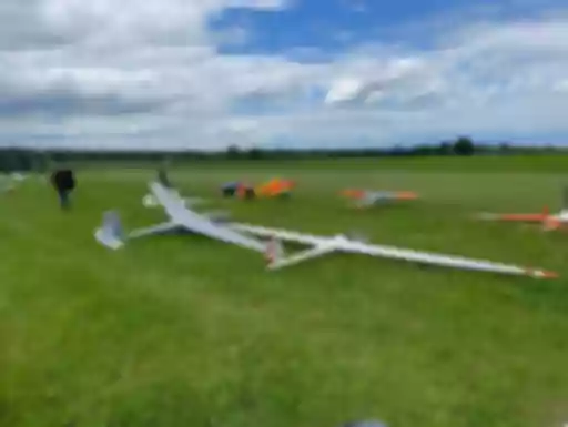 Mehrere weiße und farbige Modellflugzeuge auf einer grünen Wiese mit bewölktem Himmel und Bäumen im Hintergrund