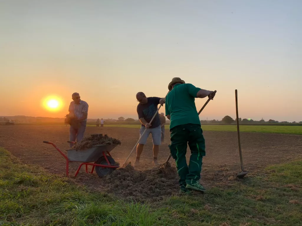 Drei Personen arbeiten bei Sonnenaufgang mit Schubkarre und Rechen auf einem Feld, Sonnenuntergang im Hintergrund